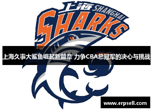 上海久事大鲨鱼崛起新篇章 力争CBA总冠军的决心与挑战